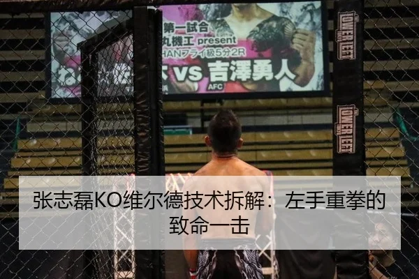 张志磊KO维尔德技术拆解：左手重拳的致命一击