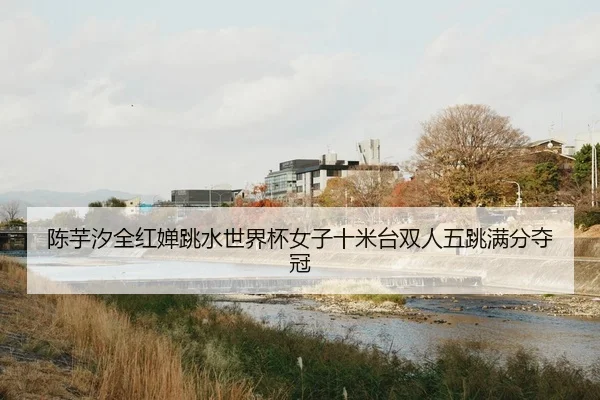 陈芋汐全红婵跳水世界杯女子十米台双人五跳满分夺冠